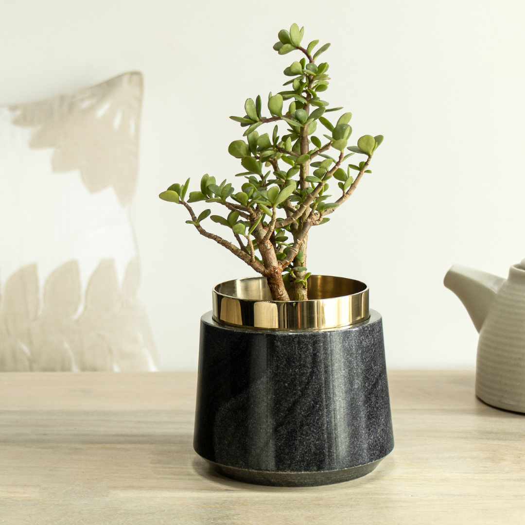 Oronoir Planter