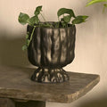 Raya Planter - Bronze Gold
